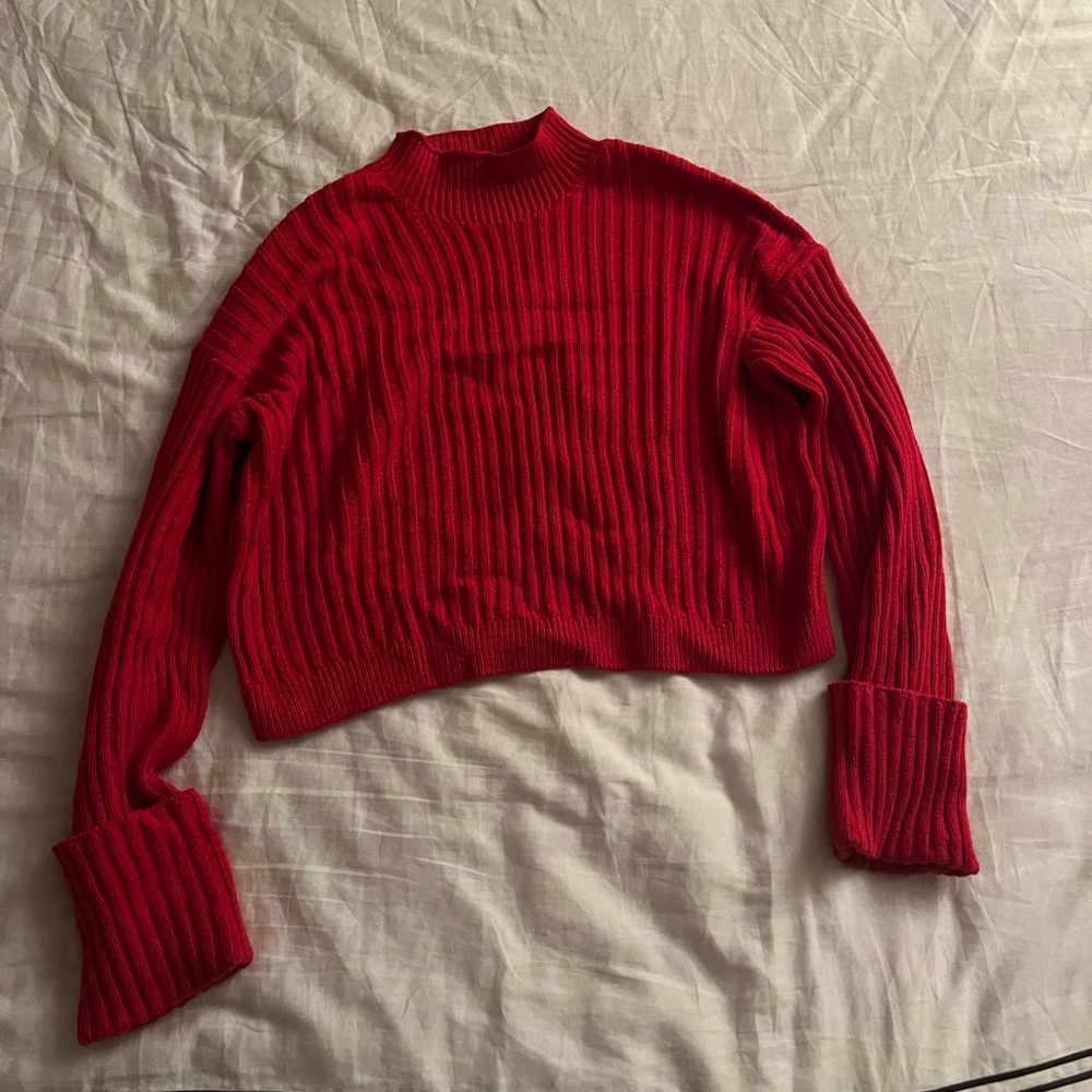 Everlane cotton ribbed rollneck sweater